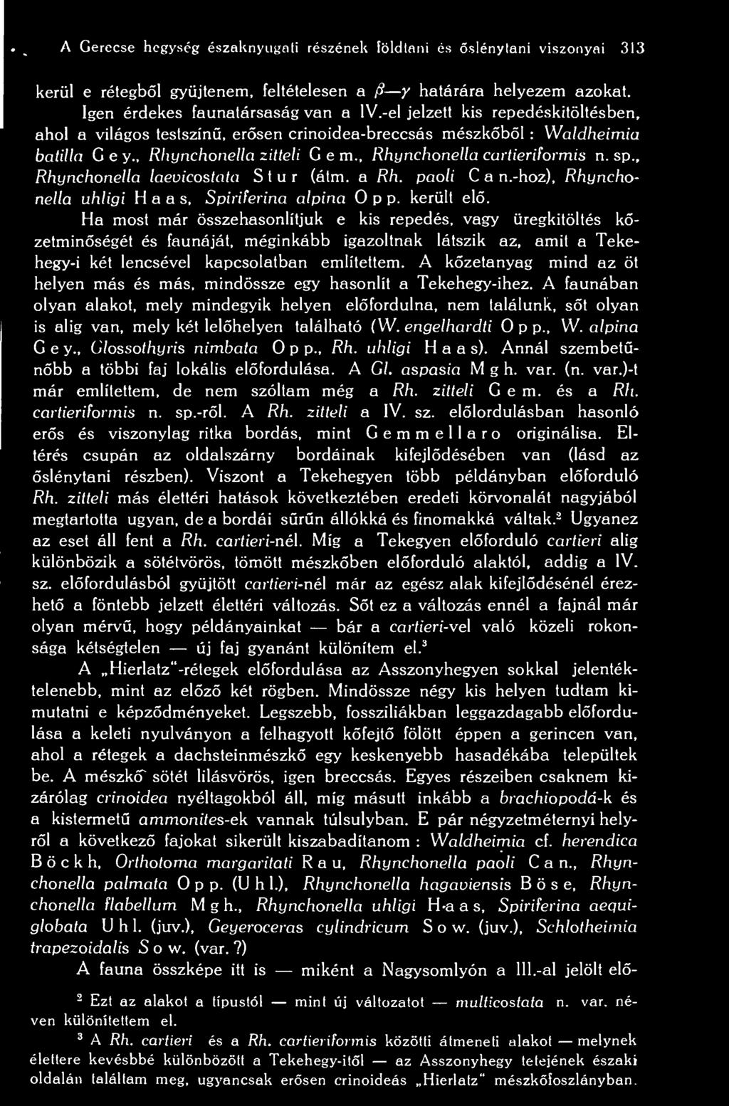 , Rhynchonella laevicostata S t u r (átm. a Rh. paoli C a n.-hoz), Rhynchonella uhliyi Haas, Spiriferina alpina Opp. került el.