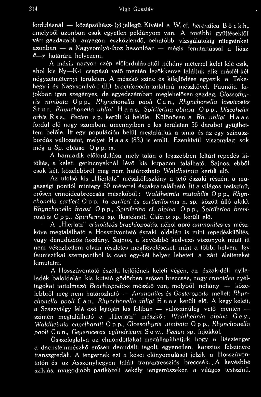 y s 314 Vigli Gusztáv fordulásnál középsliász- (y) jelleg. Kivétel a W. cf. herendica B ö c k h_ amelybl azonban csak egyetlen példányom van.