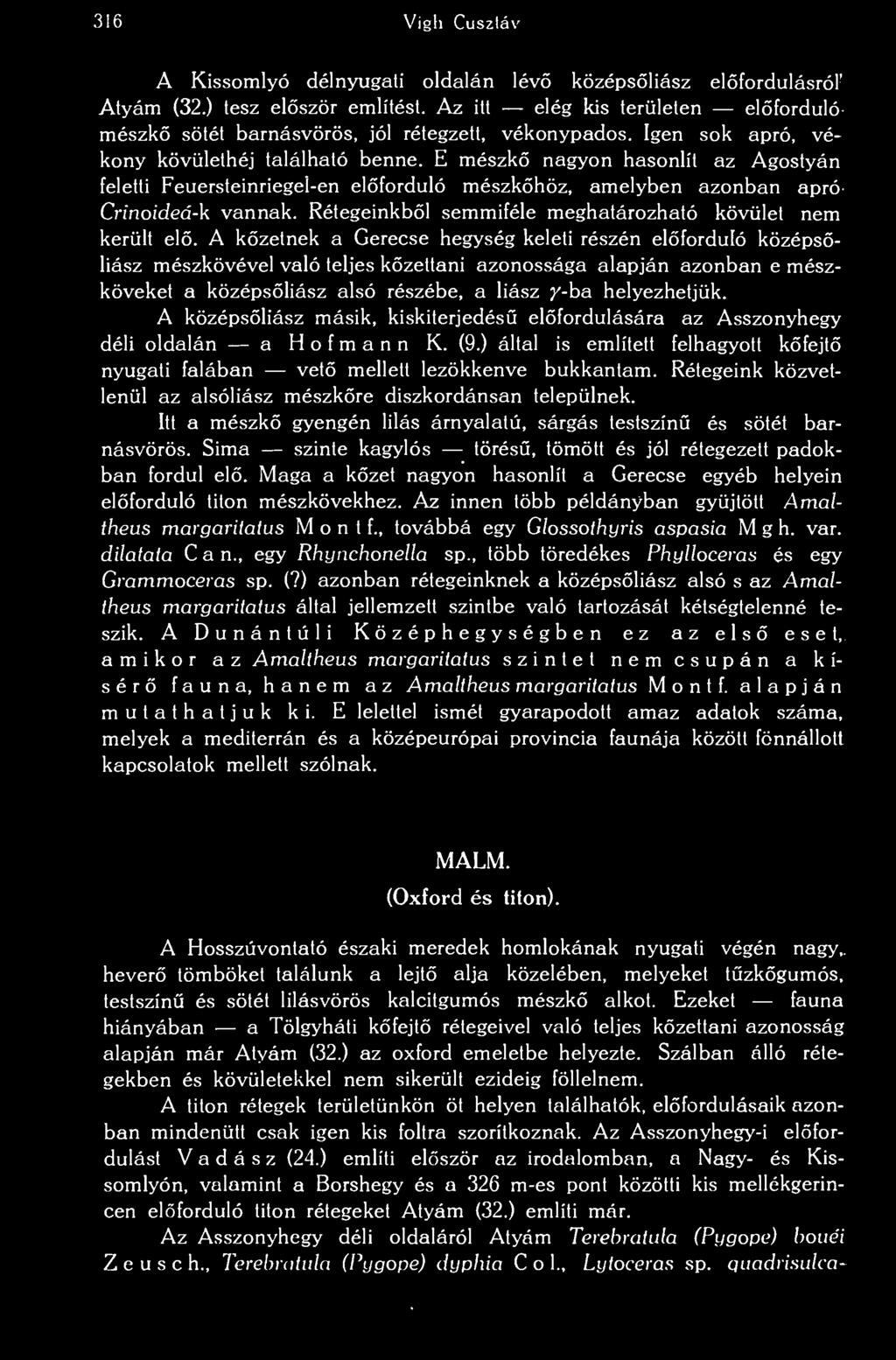 316 Vigli Cuszláv A Kissomlyó délnyugati oldalán lév középsliász elfordulásról Atyám (32.) tesz elször említést.