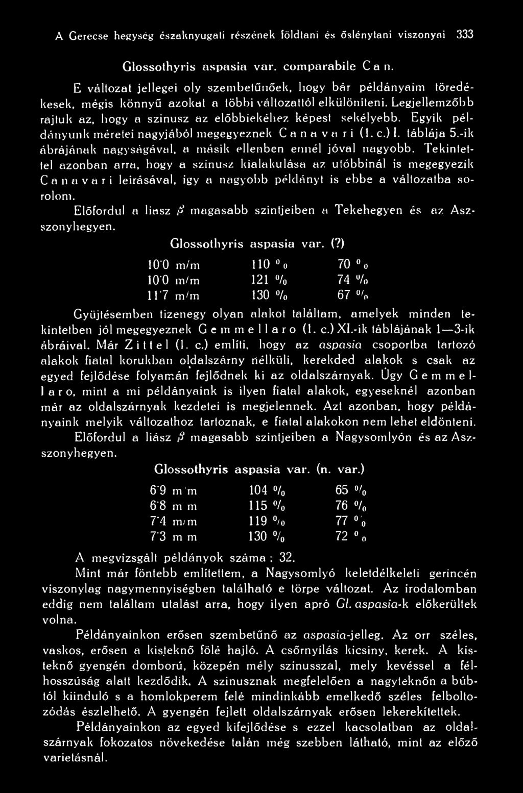 Egyik példányunk méretei nagyjából megegyeznek C a n a v a r i (1. c.) I. táblája 5.-ik ábrájának nagyságával, a másik ellenben ennél jóval nagyobb.