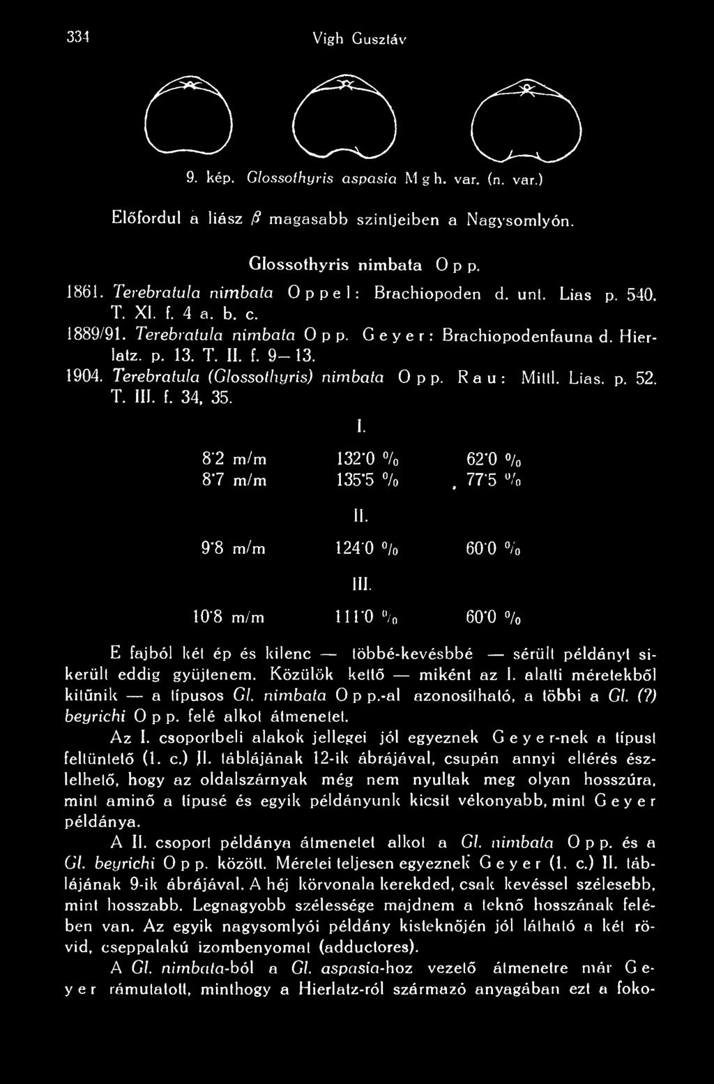 II. 9'8 m/m 124 0 % 60 0 % III. 1 0'8 m/m 1110 % 60-0 % E fajból két ép és kilenc többé-kevésbbé sérült példányt sikerült eddig gyüjtenem. Közülök kett miként az I.