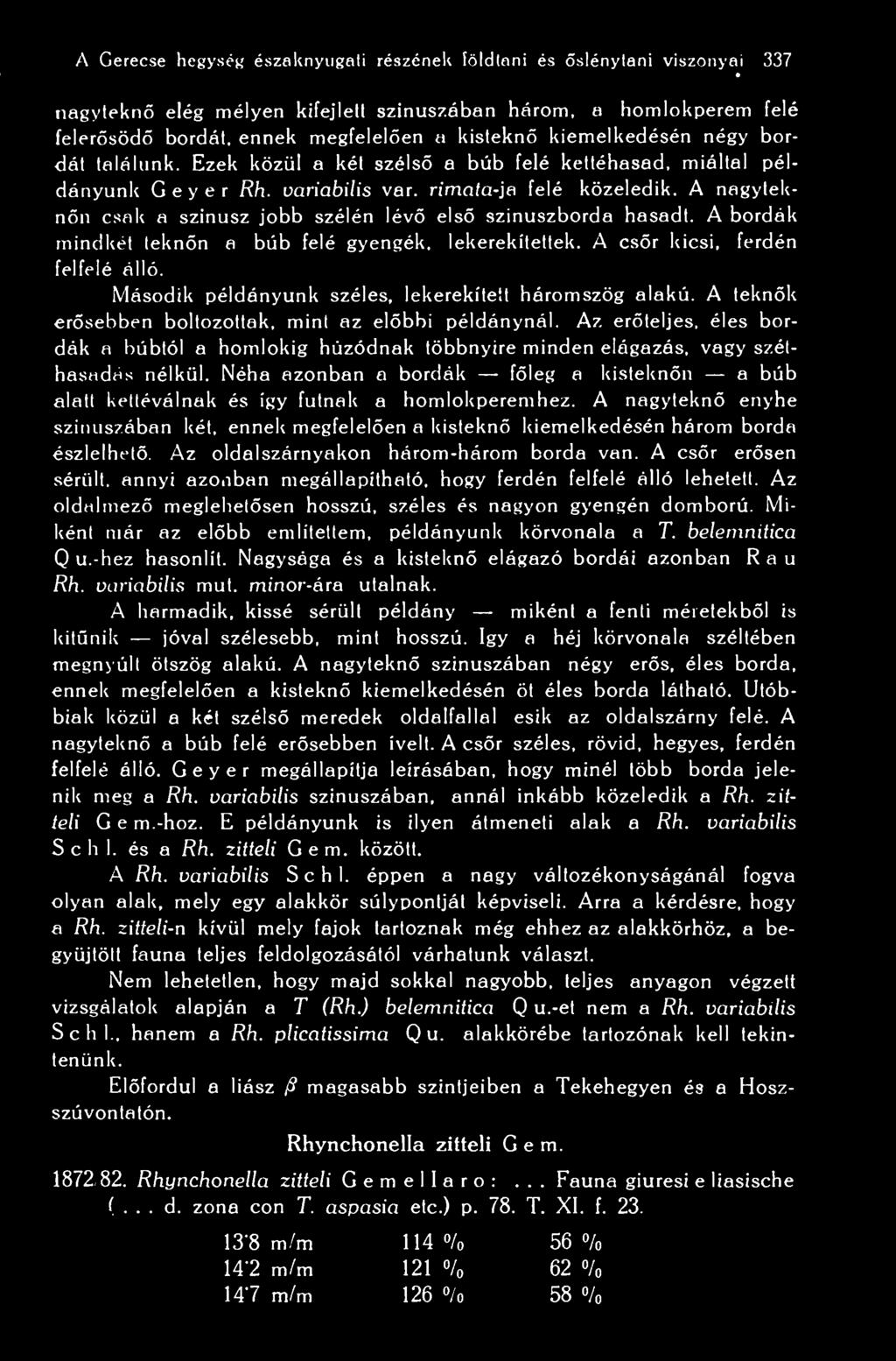 A Gerecse hegység északnyugati részének földtani és slénytani viszonyai 337 * nagytekn elég mélyen kifejlett szinuszában három, o homlokperem felé felersöd bordát, ennek megfelelen a kistekn