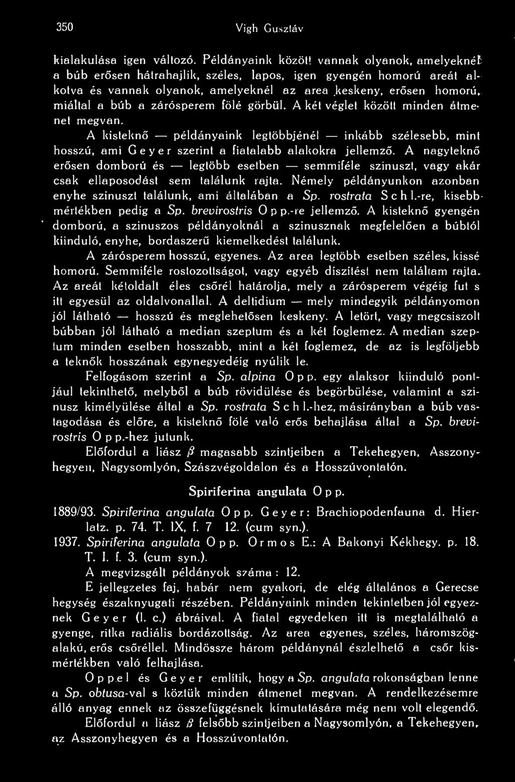zárósperem fölé görbül. A két véglet között minden átmenet megvan. A kistekn példányaink legtöbbjénél inkább szélesebb, mint hosszú, ami Geyer szerint a fiatalabb alakokra jellemz.