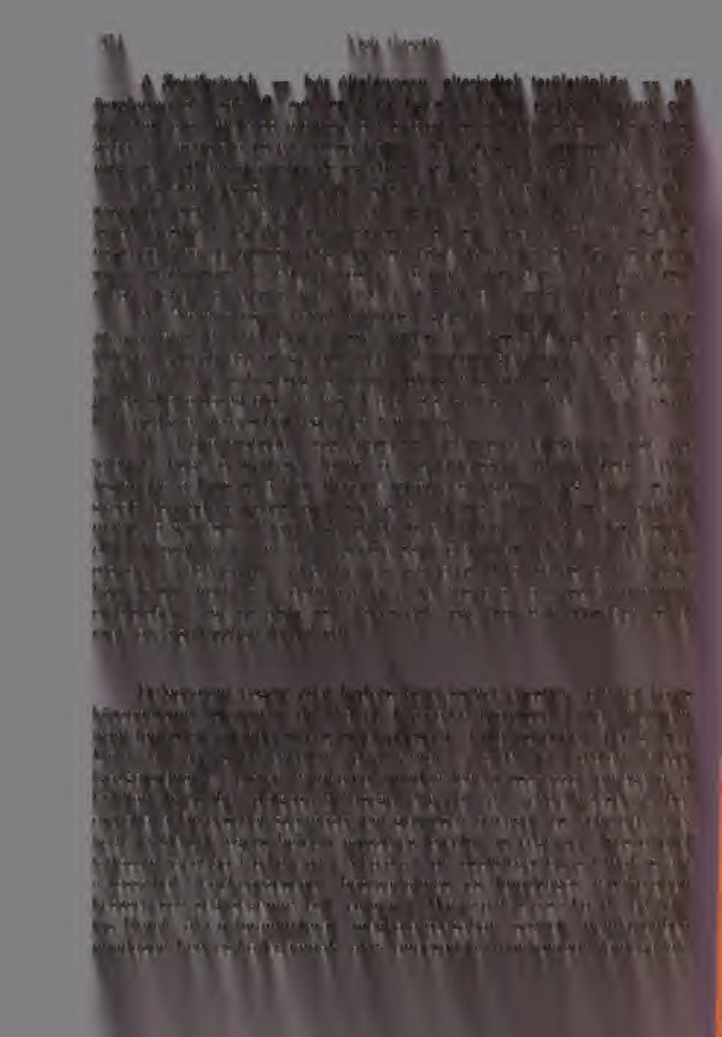 Az angulata és az obtusa közötti rokonságot a Gerecsében eddig még nem tudtam kimutatni, de egyébként is elég bizonytalannak tartom azt. Az Ammonitesek alárendelt szerepet játszanak a faunában.
