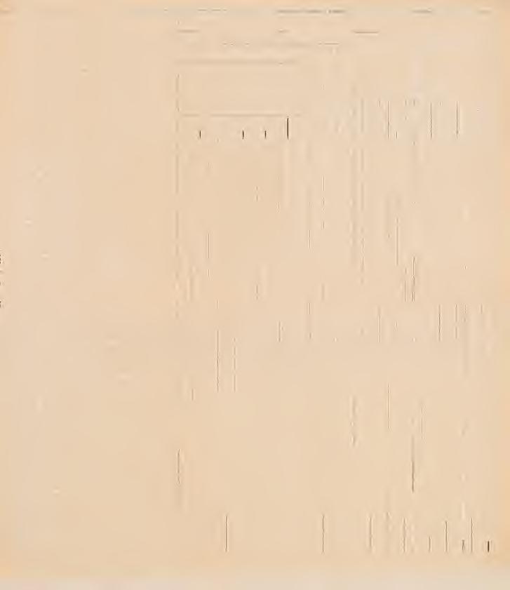 A FAJOK NEVE Gerecsei lelhelyek I. II. III. IV V MEDITERRÁN PROV. o a> >. jc E c o 0 N V3 $ < Alsó I 1 1. II 3! b ^ CO.