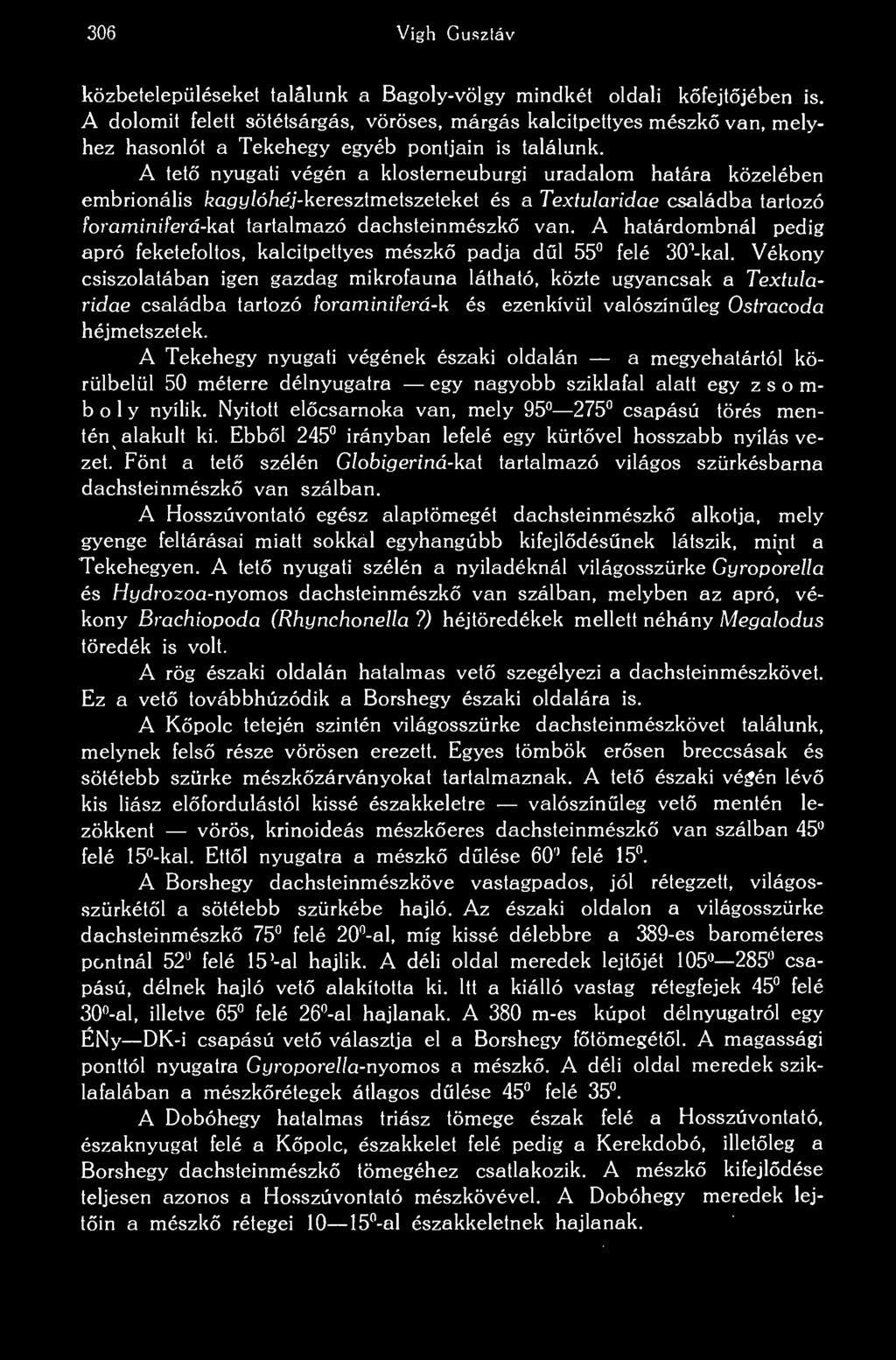 A tet nyugati végén a klosterneuburgi uradalom határa közelében embrionális feagy/óhéj-keresztmetszeteket és a Textularidae családba tartozó foraminiferá-kát tartalmazó dachsteinmészk van.