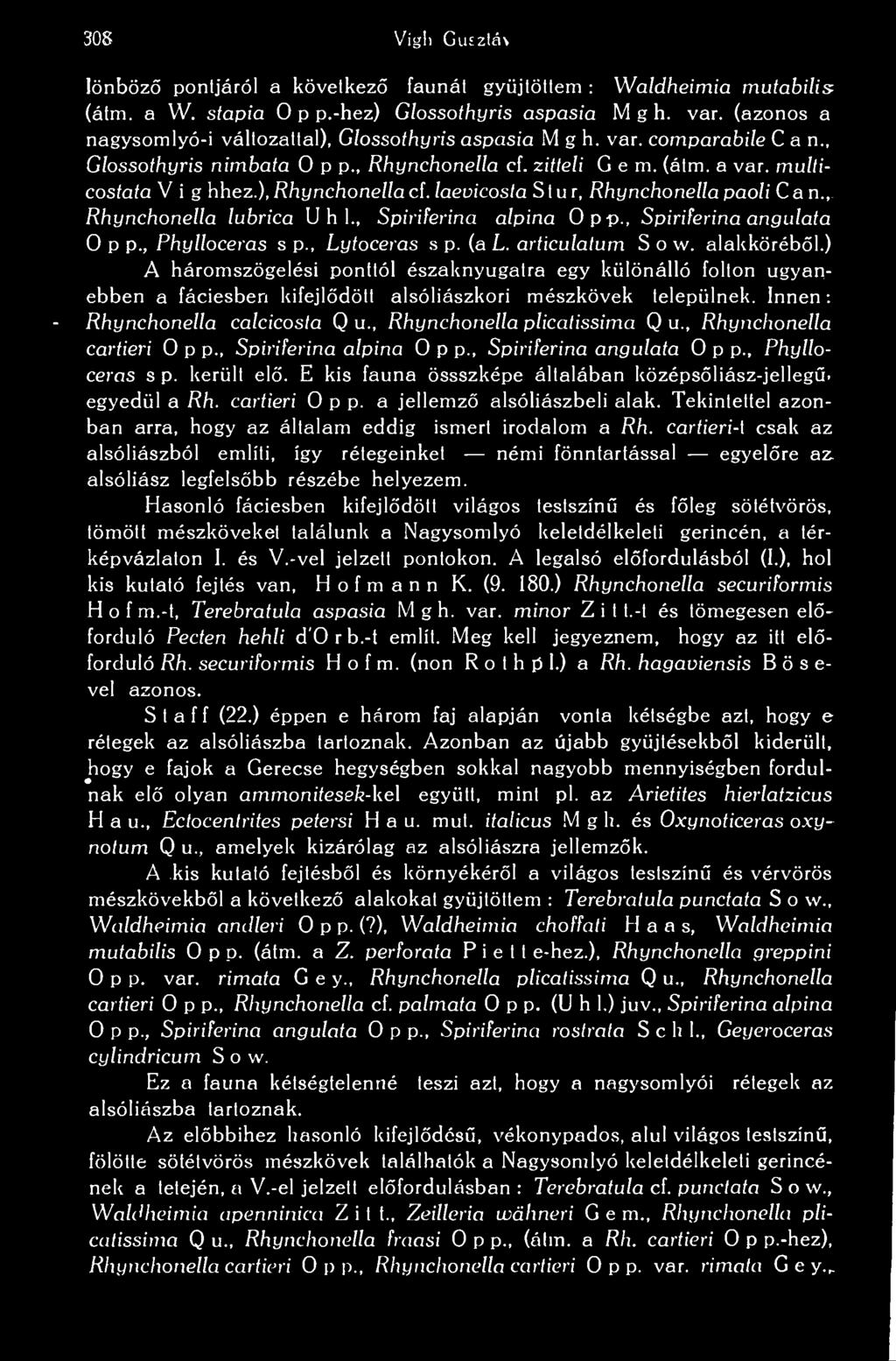 ), Rhynchonella cf. laevicosta S t u r, Rhynchonella paoli C a n., Rhynchonella lubrica U h 1., Spiriferina alpina Op-p., Spiriferina angulata 0 p p., Phylloceras s p., Lytoceras s p. (a L.