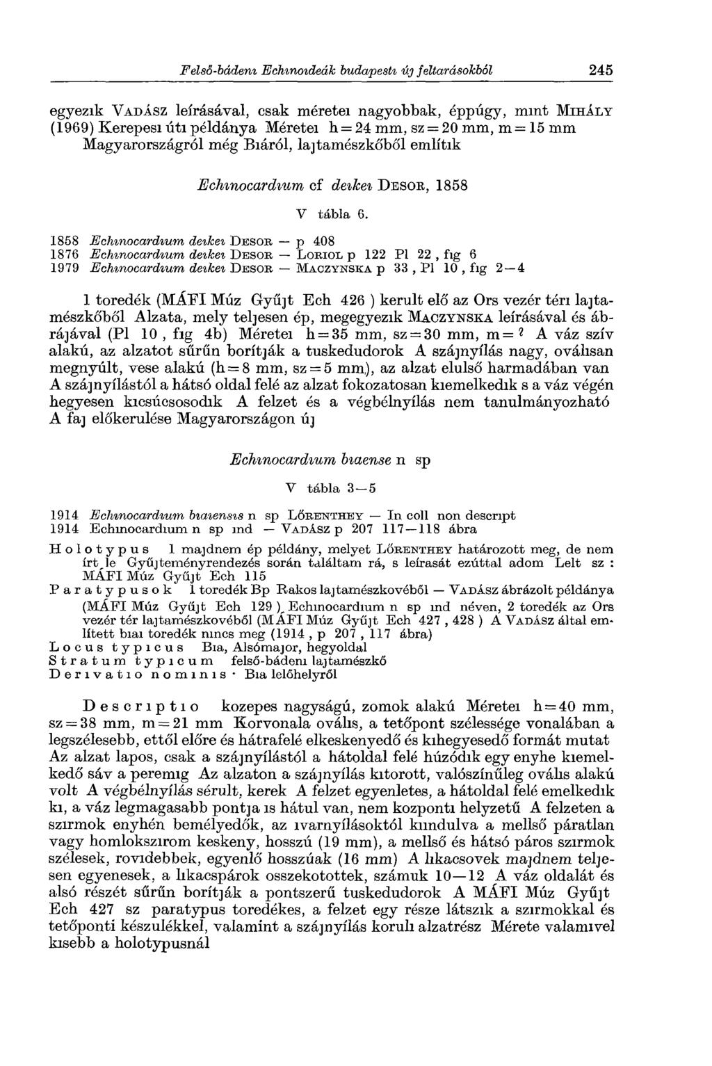 egyezik V a d á s z leírásával, csak méretei nagyobbak, éppúgy, mint M ih á l y (1969) Kerepesi úti példánya Méretei h = 24 mm, sz = 20 mm, m = 15 mm Magyarországról még Biáról, lajtamészkőből