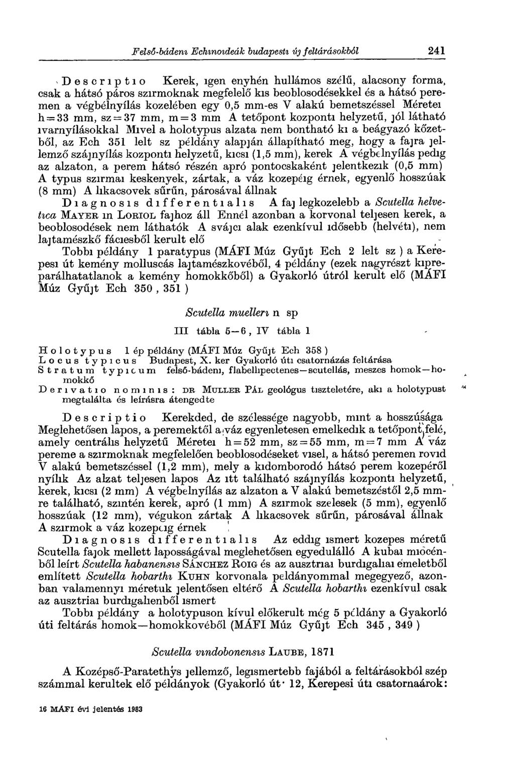 Descriptio Kerek, igen enyhén hullámos szélű, alacsony forma, csak a hátsó páros szirmoknak megfelelő kis beoblosodésekkel és a hátsó peremen a végbélnyílás közelében egy 0,5 mm-es V alakú