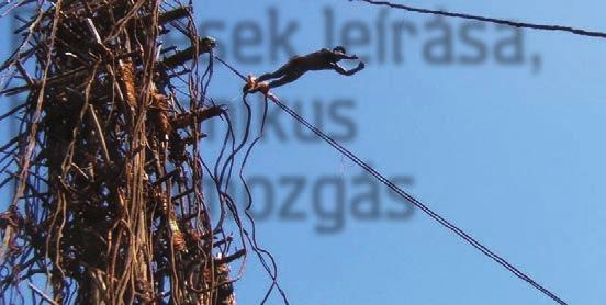 legegszerűbb periodikus jelenséggel, az egenlees körmozgással már a 9. évfolamon, mechanikai anulmánaink során megismerkedünk.
