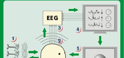 Pszichoterápia EEG Biofeedback