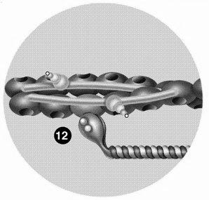 troponin tropomiozin aktív helyek miozin Aktiváció 11.