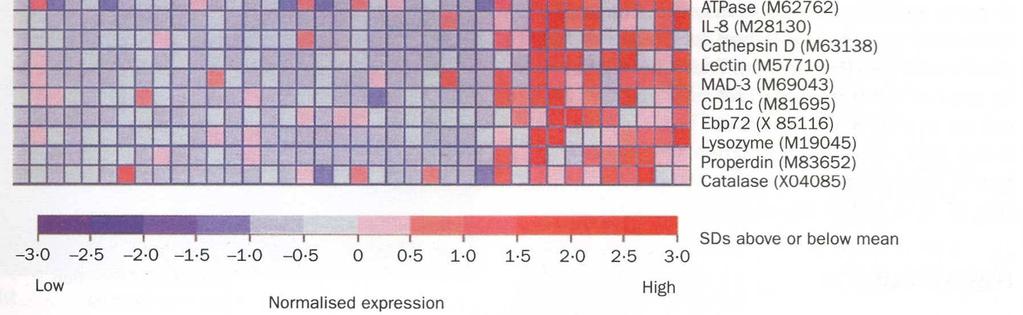 Expressziós mintázat (gene(