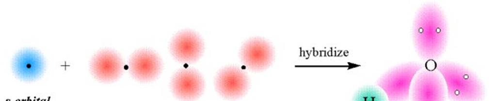 Kovalens kötés többatomos molekulák hibridpályák H 2 O nemkötő pályák magános
