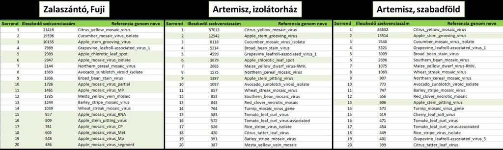 látható volt, hogy mely vírusokról keletkezhettek a kisrns-ek, illetve melyik vírusra mennyi read illeszkedik a könyvtárakból. 24.