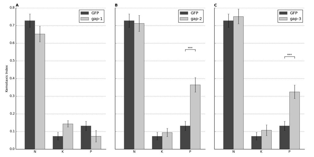 11. ábra. A GAP-2 és GAP-3 RNS interferencia általi csendesítése a gap mutáns fenotípusok fenokópiáját eredményezi.