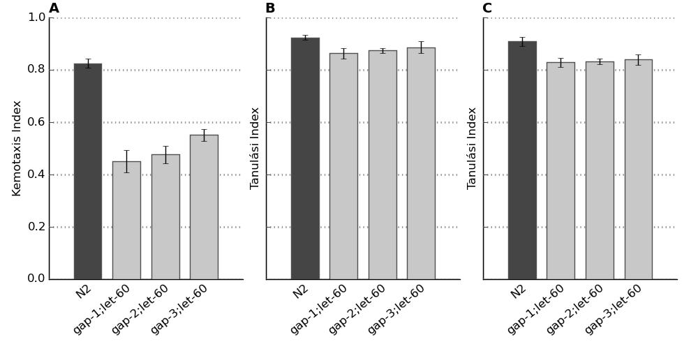 defektushoz vezet (Hirotsu et al, 2000), amely megfigyelhető a kettős mutáns törzseknél is (13. ábra, A panel). 13. ábra. A let-60 gén szükséges a gap mutáns törzseknél megfigyelt tanulási és memória-fenotípusokhoz.