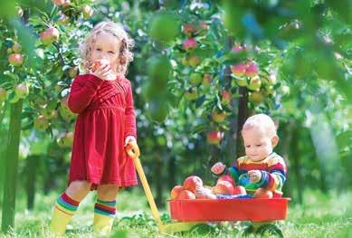 DOSAR DE SǍNǍTATE EFECTELE VITAMINELOR Vitamina A: întreține sănătatea pielii, gingiilor, mucoaselor; are un rol emolient și hidratant la nivelul pielii; protejează celulele de acțiunea radicalilor
