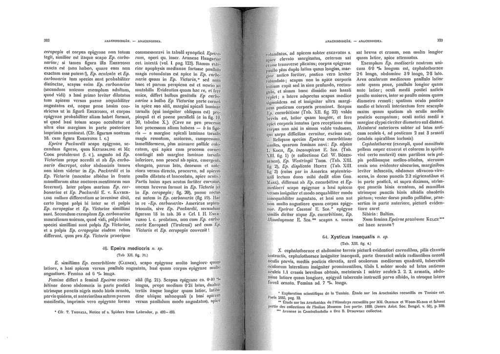 332 caopegia et corpus cpigynae non tohlm tegit, similior est itaque scapo Ep. carbo. naricw; si!amen figura illa EMErtTONn exac\a est (non haheo, qunre eam non exactam esse putem l), E p.
