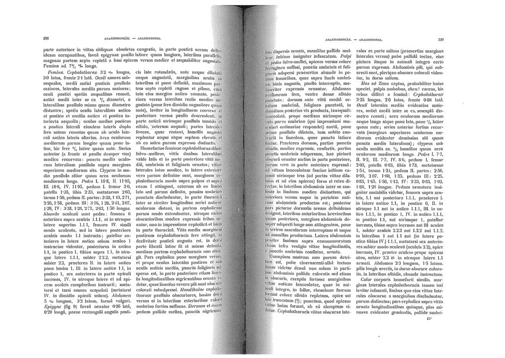 :138 Allo\C!INOIIJClitC - o\ll.\ciinolf>!l.-\. MlAC!INOJDE,I.t;, - AH,\CIINOIOHA.
