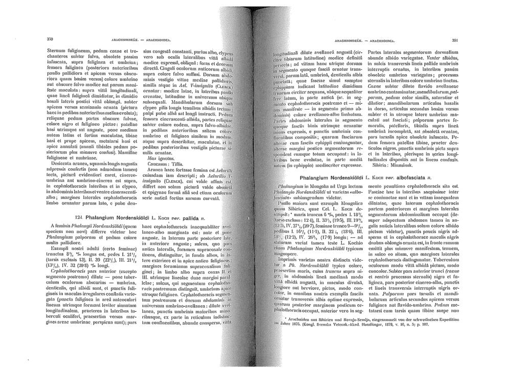 3:10,\HACllNOli)E,\](. - /l.