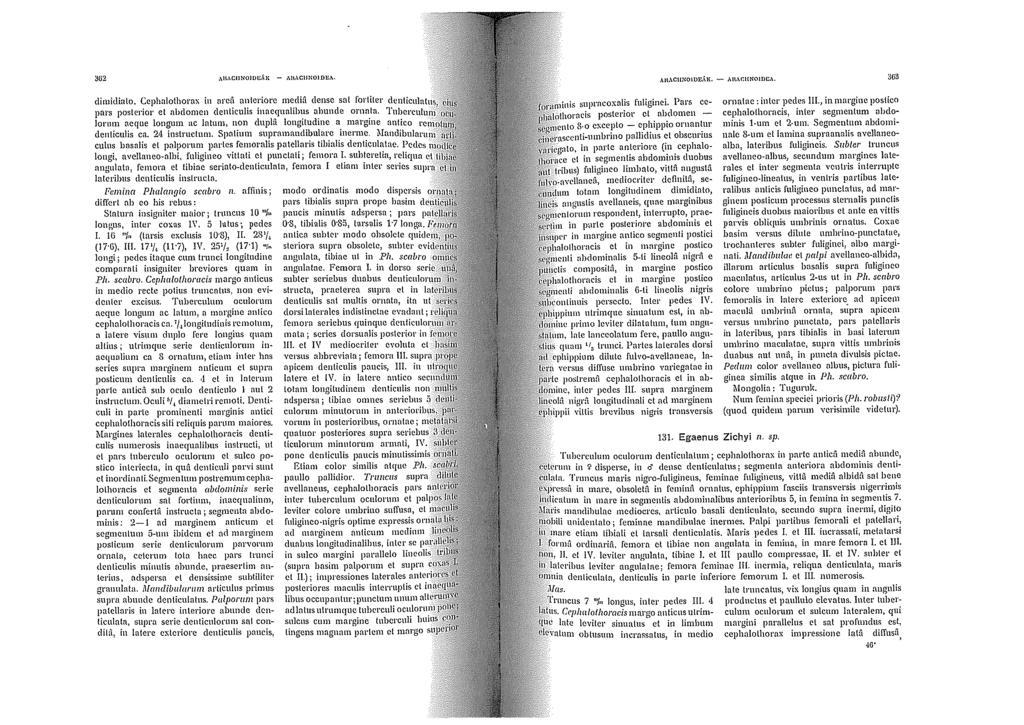 3!52,\l\ACHNOHm.\1;: -,\!\,\C!INOIDllA. dimidiato. Cephalothorax in areù anleriot e media dense sal J'orliter :!;~::.~~~:::~;~~~:~. pars posterior et abdomen denticulis inaequalibus ahunde ornata.