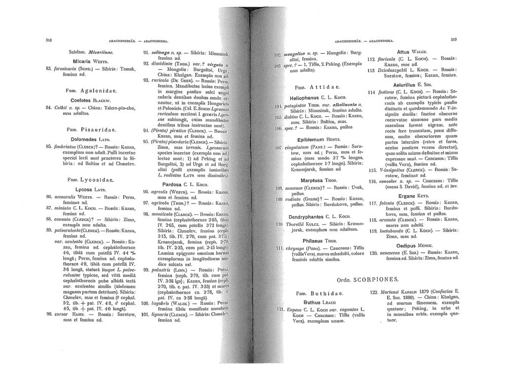 318 AnACI!NOIDE,\1(. - AllACIINOIDEA. AIIAC!INOlOC;\.\{, - AI\ACIINOJOCA. 3HI Subfnm, J.11icariinae. Micaria WEsm. 83. formicaria (SUNo.) - Sibirin: Tomsk, femina ad. Fnm. Agalenidae. Coelotes BLACKW.