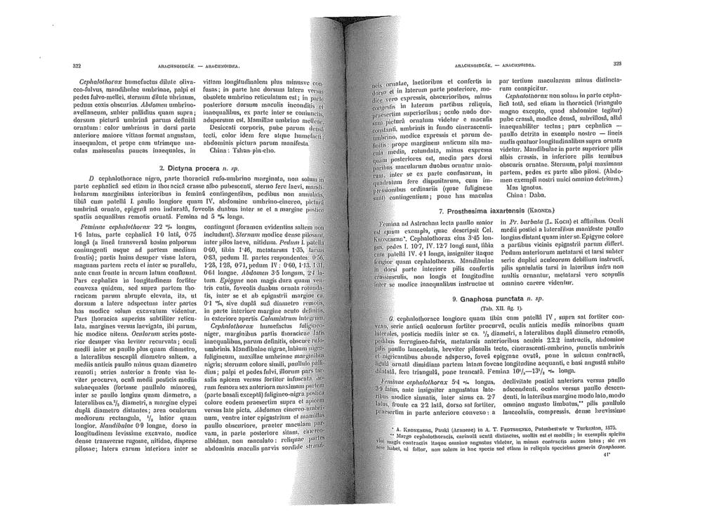 322 All,\CIINO!Odl.:. - AI\,\CilNOlDF.A. Ccphalollwrax lmmefactus dilute olivnceo-fulvus, mandìbnlne umbrinne, palpi et pc d es fulvo-melle i, slcrnum dilute ubrinmn, pcdum coxìs ollscm ius.