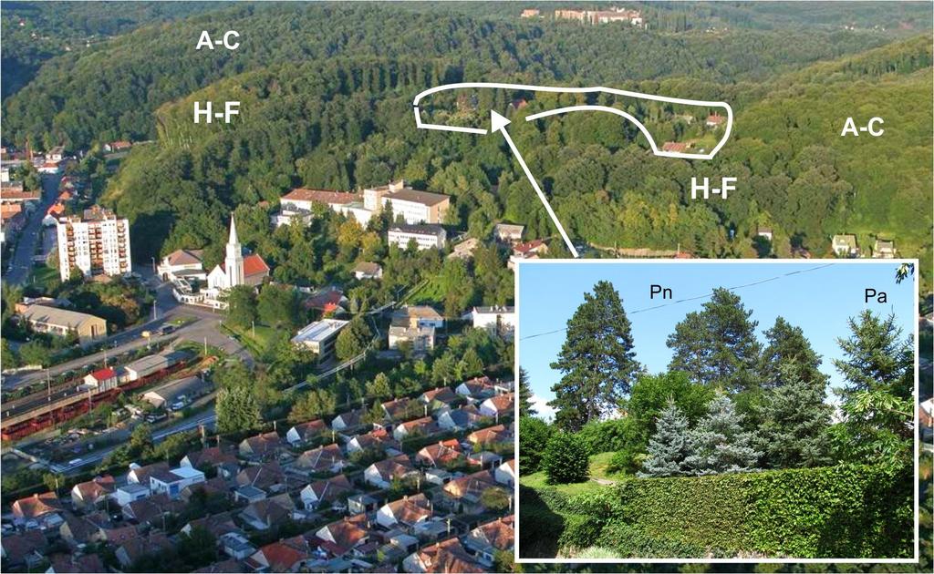 10 Fazekas: Gravitarmata margarotana 5 6. ábra. A G ravitarm ata m argaro tana magyarországi elterjedése (5) és habitatja Komlón (6) Figs 5 6.