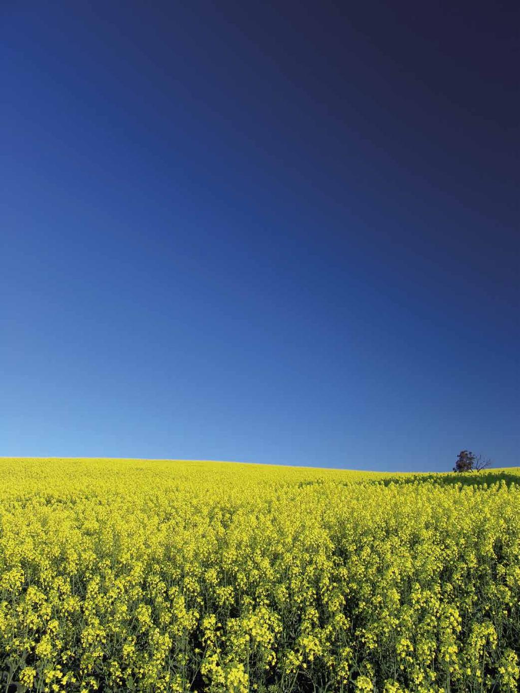 Dow AgroSciences Hungary Kft. 116 Budapest, Hegyalja út 7-13. Telefon: (1) 2-4191 Fax: (1) 2-4292 www.dowagro.