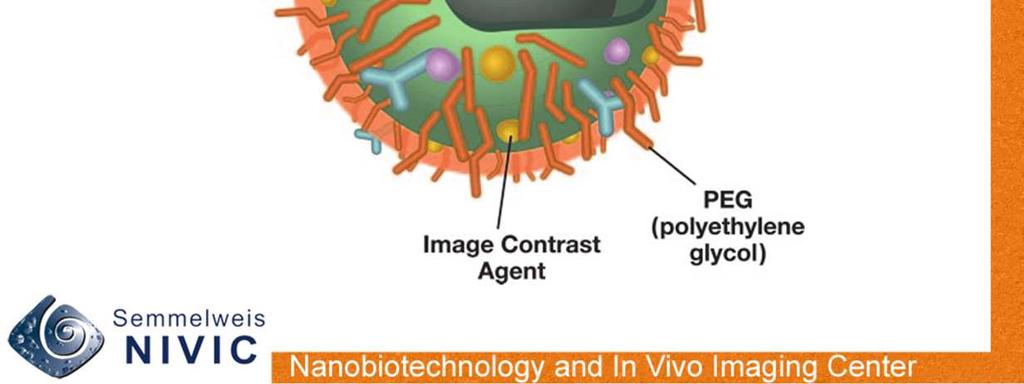 A nanorészecske méreténél fogva (5-300 nm) alkalmas multimodális diagnosztikai kontrasztanyagnak.