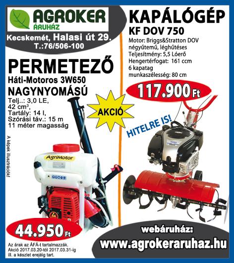 SORSELEMZÉS, kártyajóslás, családi, párkapcsolati problémák, szerelemkötés, átokrontás levétele. Hívásra házhoz megyek. 06-30/924-3867 KÖLTÖZÉS miatt lakásban használatos tárgyak eladók!