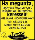 4 Angyal motor 06-30/428-7259 Motor- és robogó kereskedés 2017. március 8. Legyél Te is egy dinamikus csapat tagja!