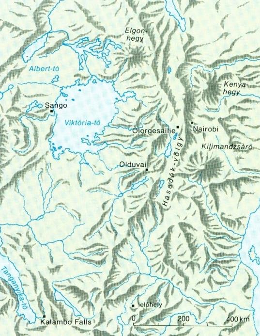 (1903-1972) Zinj (Diótörő) /