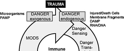 The lethal triad Teendő: Intensive Care
