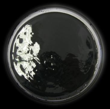 Különleges anyagok a középiskolai fizikaoktatás, a tehetséggondozás és a természettudományos ismeretterjesztés terén Ennek oka a ferrofluid mágneses