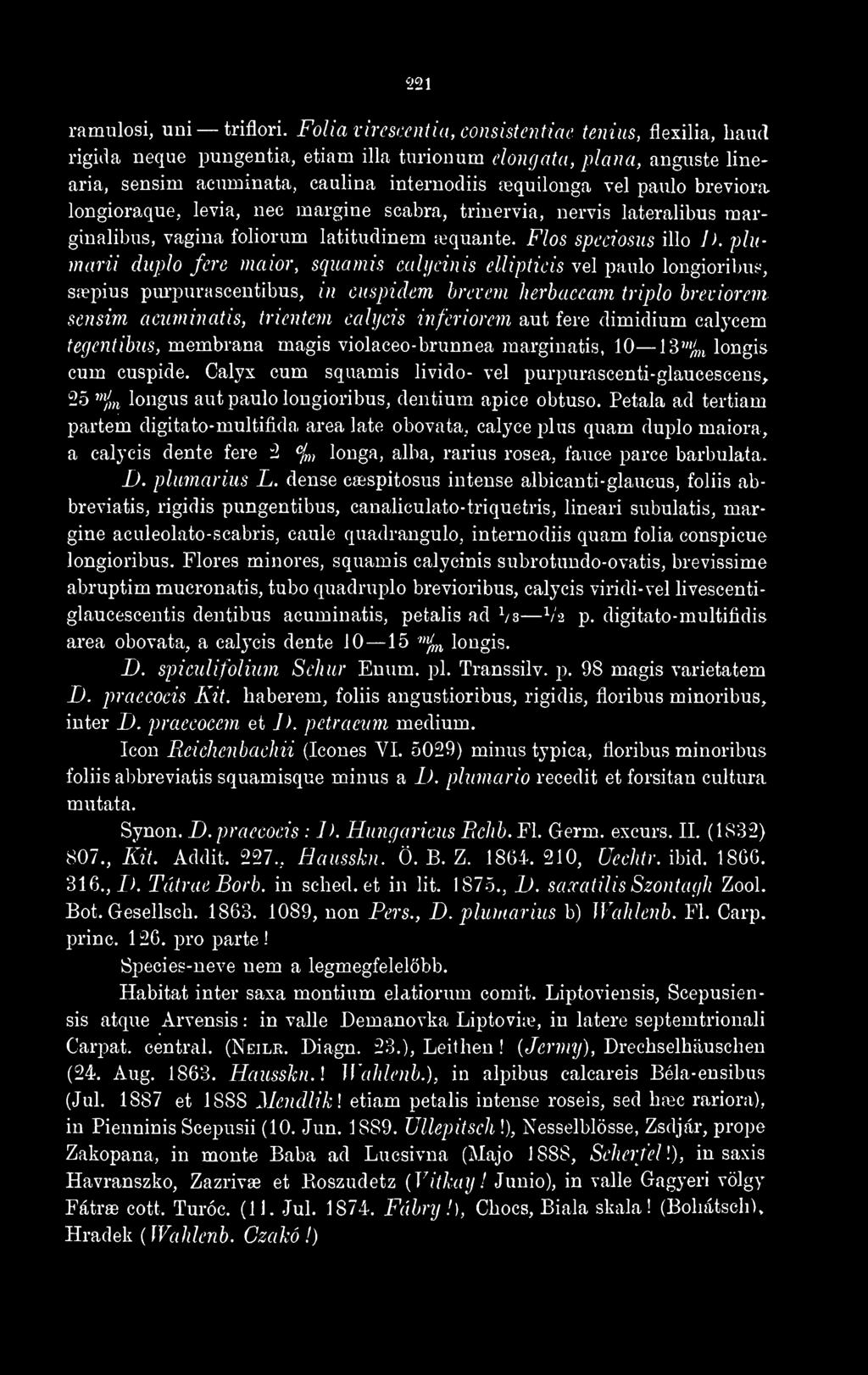 aut fere dimidium calycem teçjcntibus, membrana magis violaceo-brunnea marginatis, 10 13"'^ longis cum cuspide.