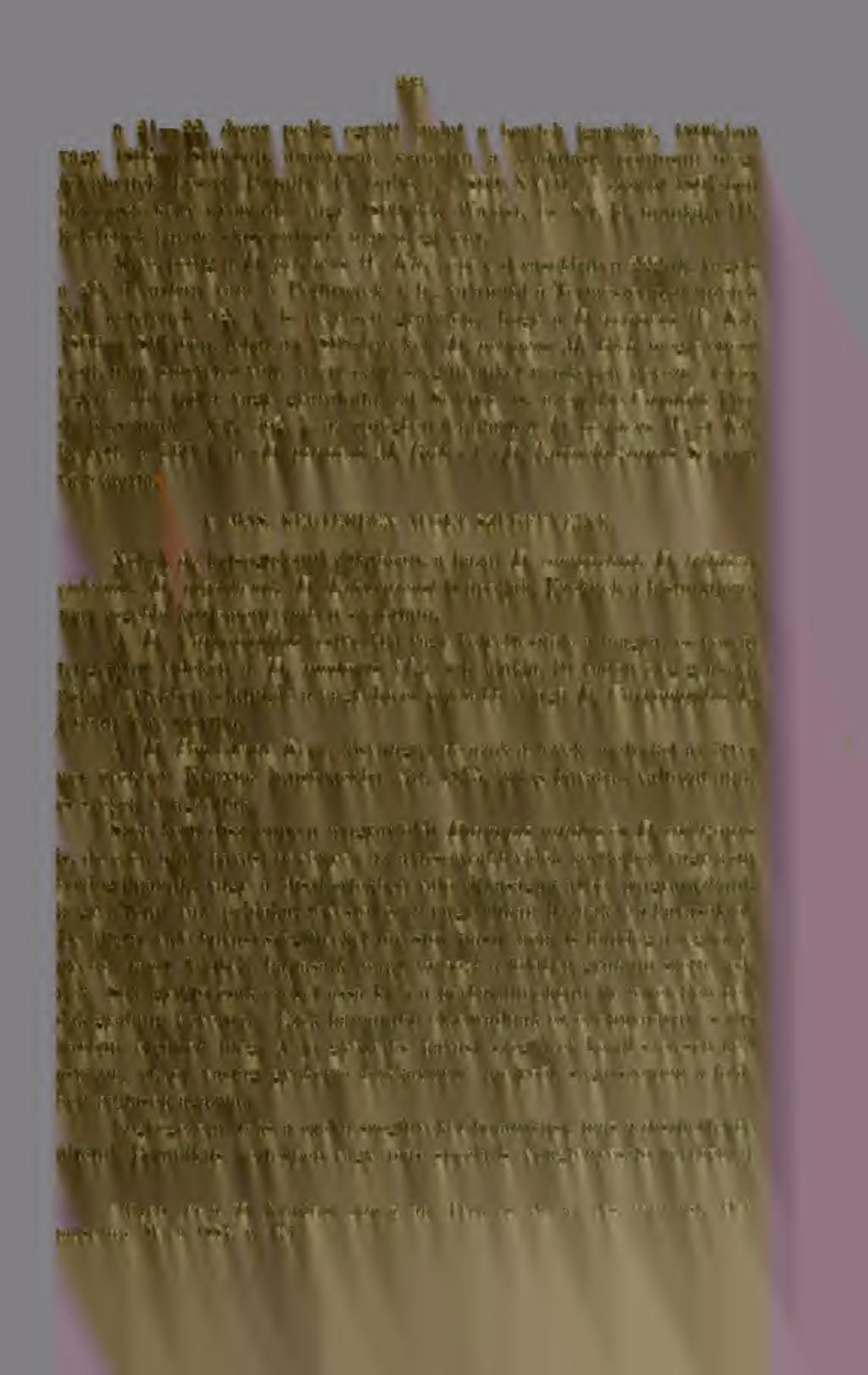 2S3 a 21 22. decas pedig együtt (mint a boríték igazolja), 1806-baii vagy 1805 1806-ban, arányosan számítva a kiadatást, pontosan megjelenhettek. Besser Primitiie FI. Galic. I. (1809) XVIII. l.