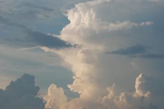 Felső része határozott kontúrokkal rendelkező, fényes fehér színű. Ebben a fázisban a felhőtornyoknak karfiolra emlékeztető formája van.