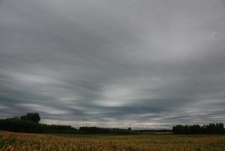 vékonyodó Nimbostratus réteg is Altostratusszá alakulhat, ha a csapadékhullás gyengül és a felhőzeten a Nap vagy a Hold korongja egyre inkább átsejlik.