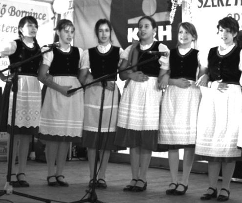 A II. Fánkfesztivál után is érdekelt a rendezvény közvetlen résztvevőinek /szereplők, nézők, érdeklődők / véleménye, amit ezúton osztok meg önökkel.