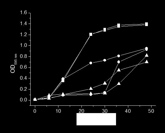(hyd1-190) csökkent sejtpopulációk telep-formáló képessége (24/A és C ábrák).