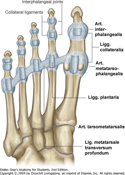 3. fokú csípőízület deformáló artrózisa fájdalom az ujjak és a csukló ízületeiben