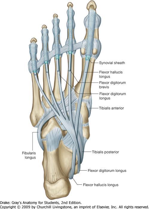A bal láb teljes sérülése