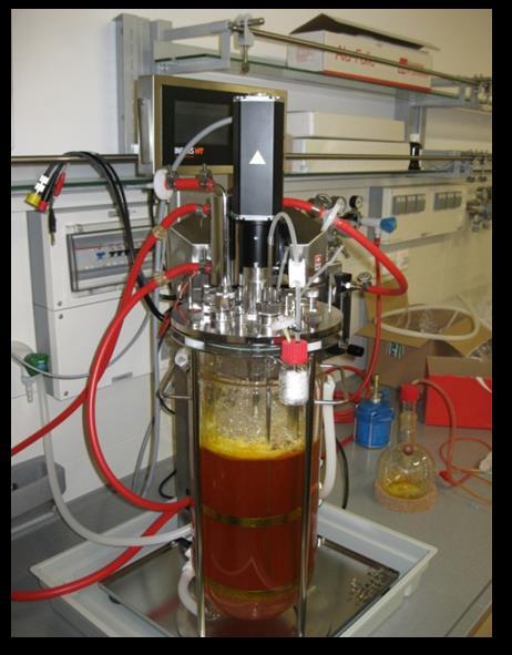 5. ábra: Víztisztító bioreaktor [9] Megemlítendő biológiai eljárás még a bioszorpció is.