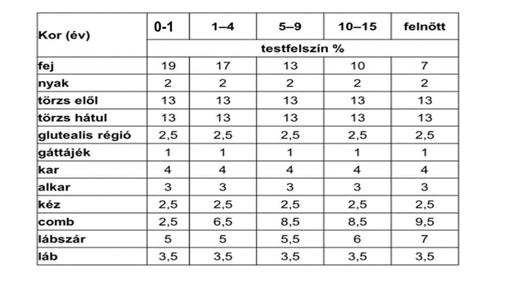 1.ábra. Az égés kiterjedésének megítélése testtájak szerint egyes életkorokban (Carvajal és Wallace alapján) (Wallace AB, Esposure treetment of burns. Lancet. 1951; 1. 501-4.) 1. táblázat.