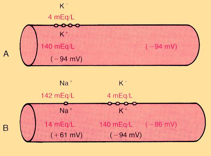 6 3 C A