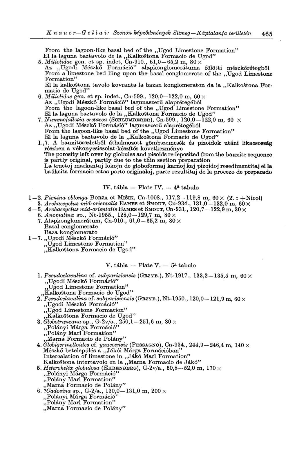 К паи e г G ell а г: Szenon képződmények Sümeg Káptalanfa területén 465 From the lagoon-like basal bed of the Ugod Limestone Formation" El la laguna baztavolo de la Kalkostona Formáció de Ugod" 5.