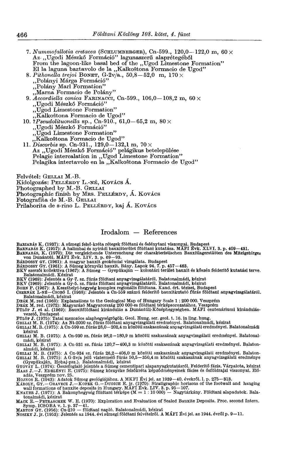 466 Földtani Közlöny 108. kötet, 4. füzet 7. Nummofallotia cretacea (SCHLUMBERGEB), Cn-599.