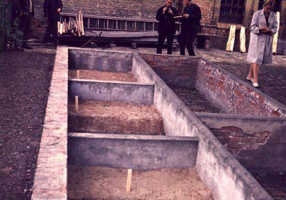 ) - basement or cellars - controlled